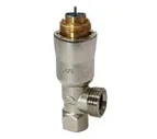 VPE110B-200 Радиаторный клапан с регулятором давления, V 31…483, DN 10 Siemens